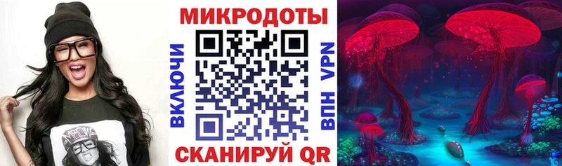 Галлюциногенные грибы Psilocybine cubensis  кракен как войти  Советск 