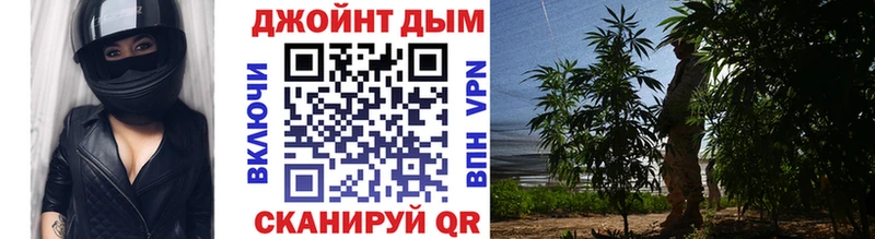 Шишки марихуана план  купить наркоту  Советск 